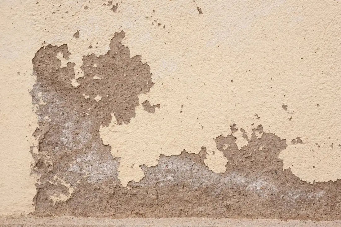 Bas de mur dégradé par des remontées capillaires et du salpêtre